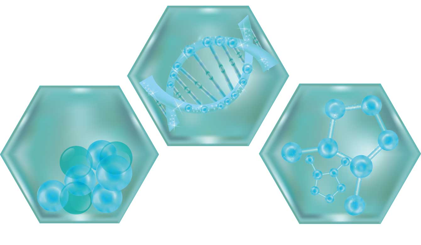 Collageen-DNA-huidcellen-kraakbeen