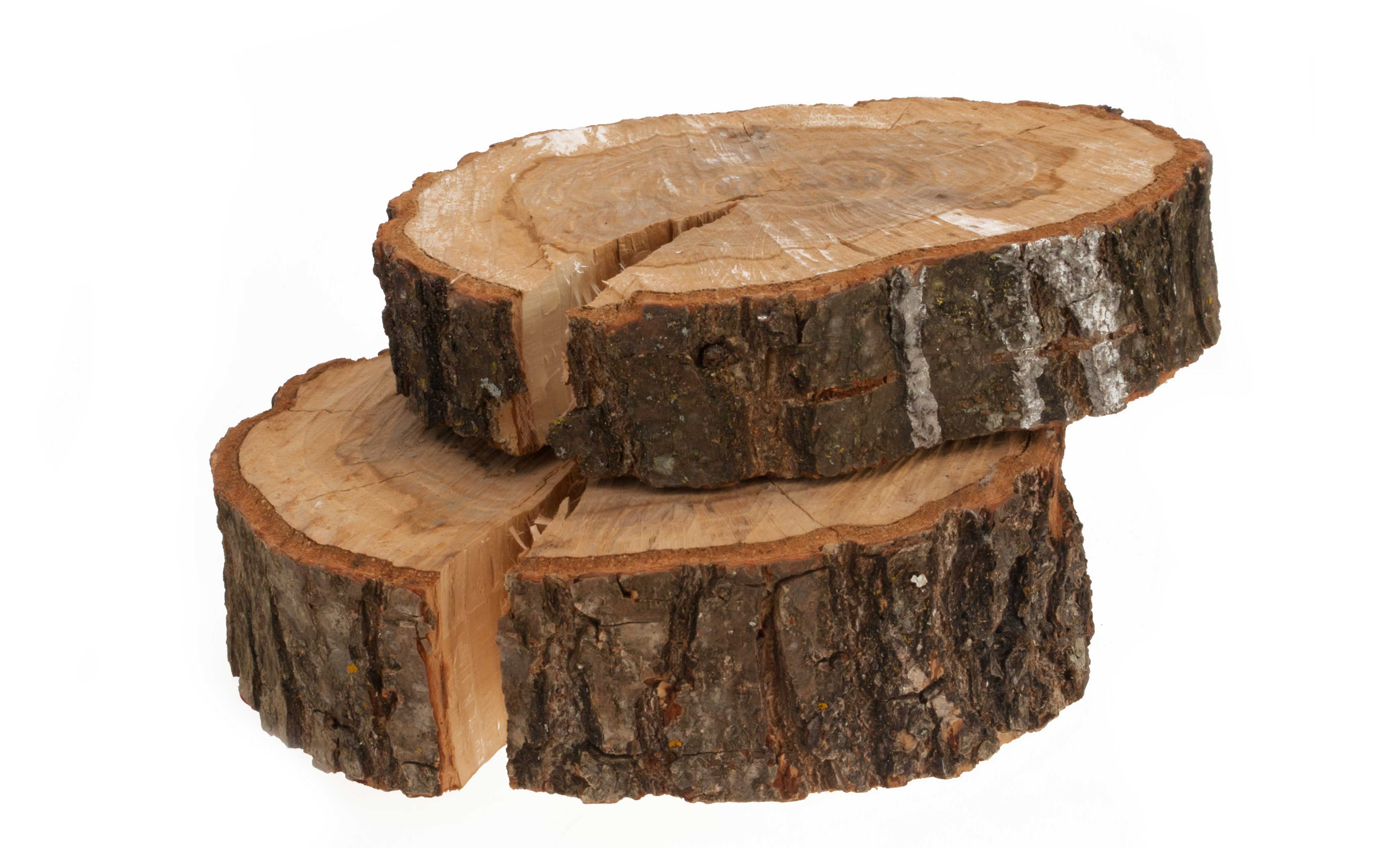 Fytosterolen en Fytosterolinen uit de bast van de pijnboom