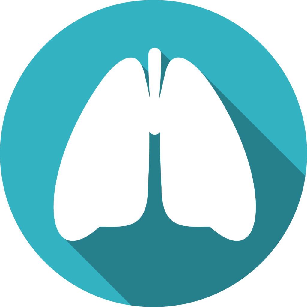 Respiratory system | Springfield Nutraceuticals