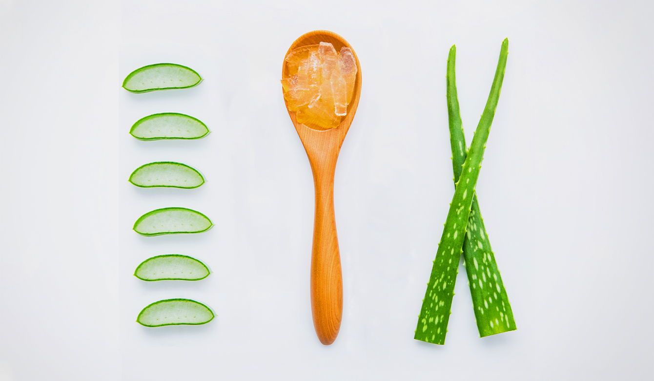 Aloe Vera - ingrediënt
